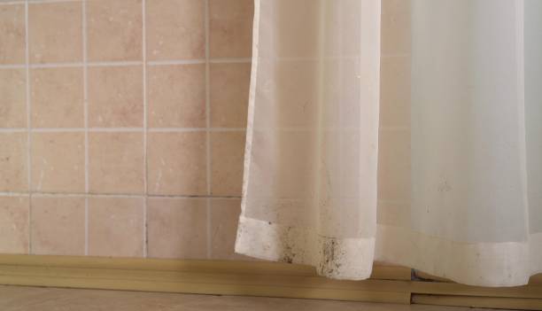 Best Real Estate Mold Inspection  in Rlborough, MA