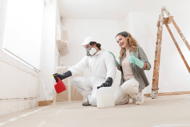  Rlborough, MA Mold Removal Pros