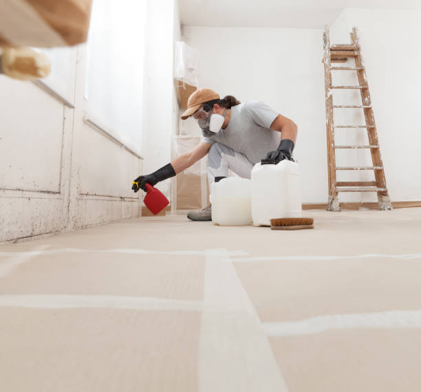 Best Attic Mold Removal  in Rlborough, MA