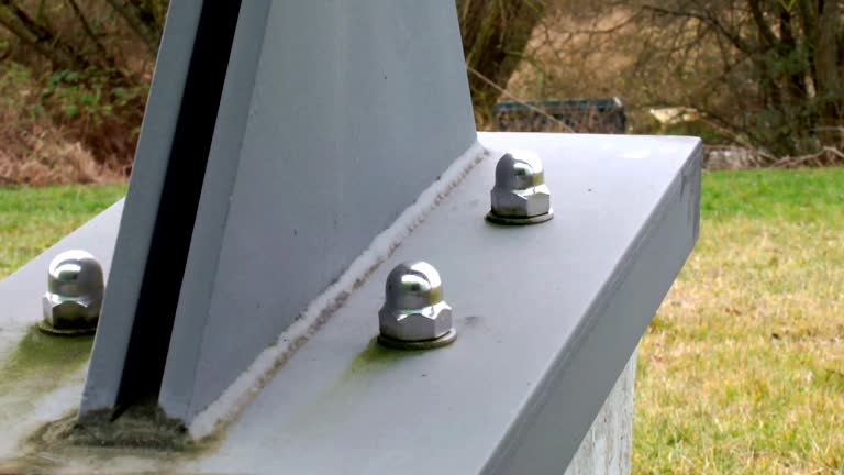 Best Commercial Mold Inspection  in Rlborough, MA