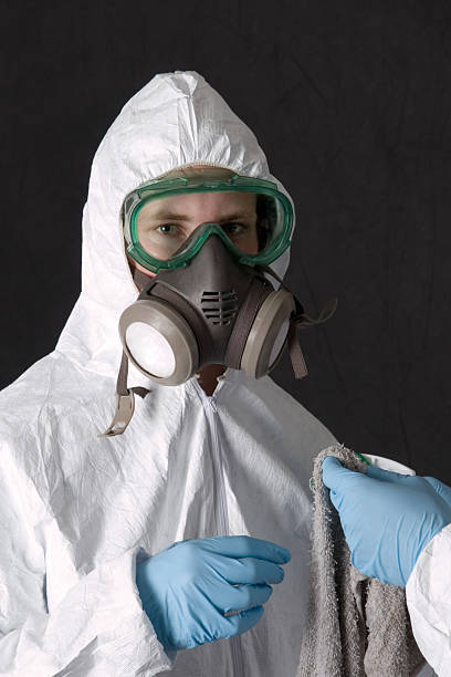 Best Asbestos and Lead Testing During Mold Inspection  in Rlborough, MA